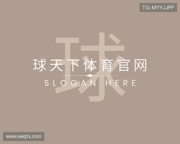 介绍球天下体育官网